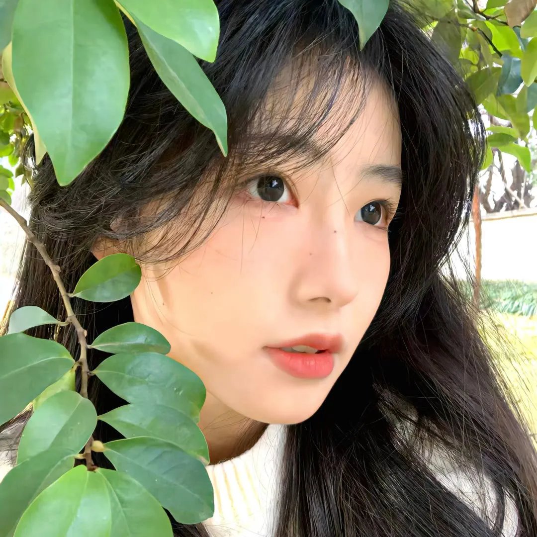 君是慕容卿似花